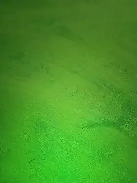 Snapshot of Payal950 chatting on October 24, 7:26 am Payal950 online show from October 24, 7:26 am