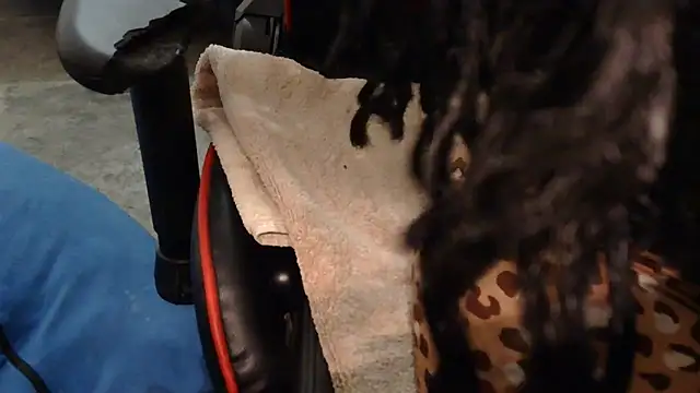 Snapshot of Gmajor chatting on October 4, 8:24 pm Gmajor online show from October 4, 8:24 pm