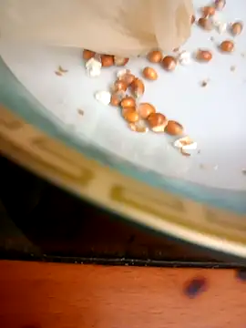 Ebtessamcachonda online show from October 15, 9:17 pm