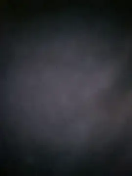 MAFE  29 online show from April 8, 3:58 pm