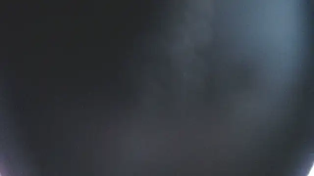 Stannlyy online show from December 23, 6:17 am