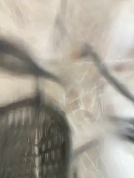 Adele Pinkk online show from October 17, 1:25 pm