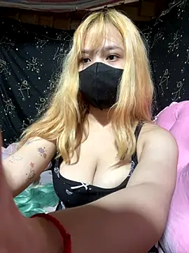 swallow-nice online show from November 2, 9:12 am