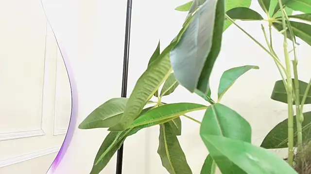 Snapshot of keila_hott20 chatting on October 24, 2:02 pm keila hott20 online show from October 24, 2:02 pm