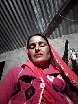 Jalebi bay online show from November 17, 2:29 pm