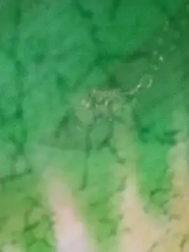 chubby babitha-telugu online show from September 25, 3:16 am