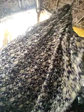 Snapshot of LUCKY_cut chatting on October 20, 3:09 am LUCKY cut online show from October 20, 3:09 am