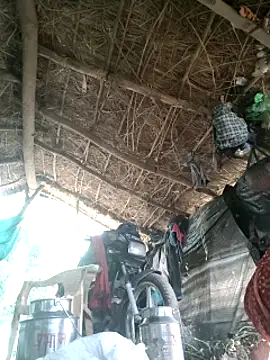 Snapshot of LUCKY_cut chatting on October 7, 2:38 am LUCKY cut online show from October 7, 2:38 am