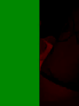 Snapshot of LUCKY_cut chatting on September 22, 5:55 pm LUCKY cut online show from September 22, 5:55 pm