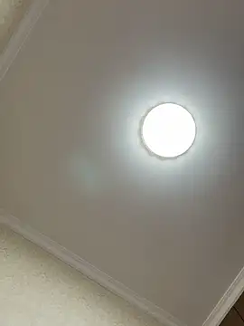 Snapshot of Xinlan-Asia chatting on October 14, 10:40 am Xinlan-Asia online show from October 14, 10:40 am