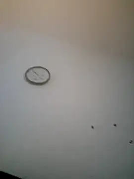 layan24 online show from September 19, 7:51 am