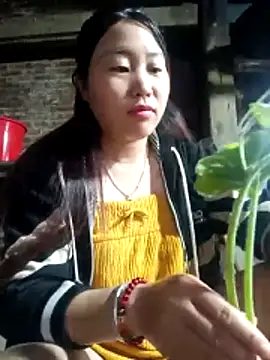 Snapshot of siki-00 chatting on October 25, 11:55 pm siki-00 online show from October 25, 11:55 pm