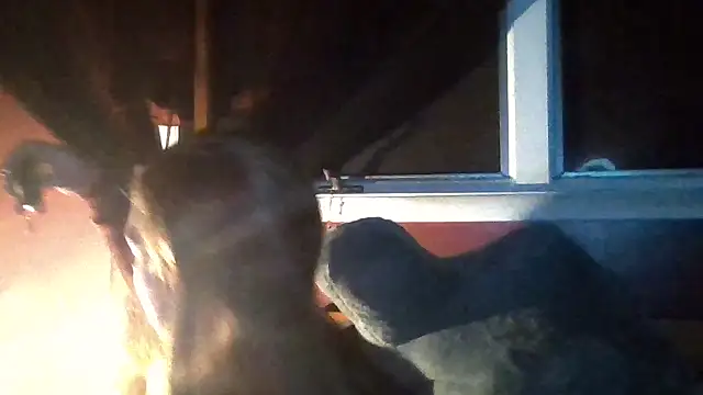 sexylittlered69 online show from September 11, 4:13 am