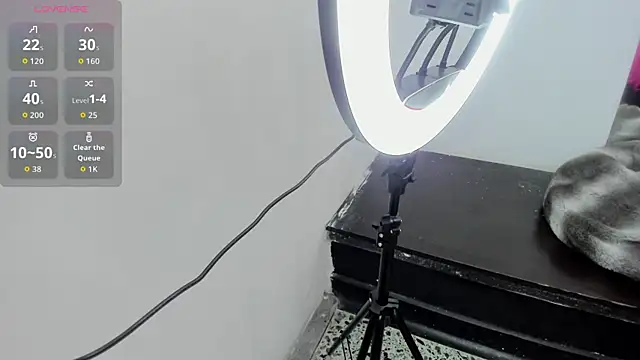 Snapshot of TransDoll09 chatting on October 14, 6:43 pm TransDoll09 online show from October 14, 6:43 pm