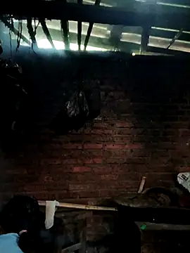 kemtuoi-sex online show from September 17, 11:58 pm