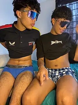 Leopard play online show from November 14, 12:49 pm