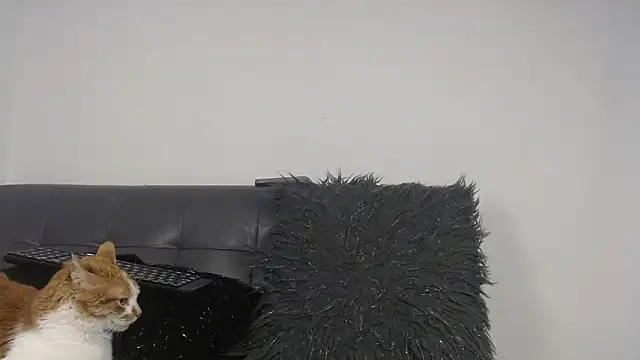 Deysha Garcias online show from March 27, 2:02 am