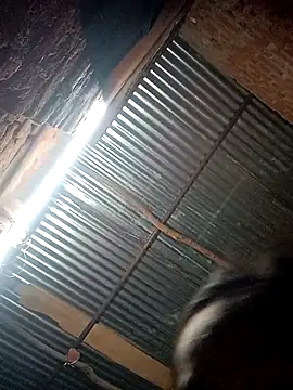 Snapshot of Suman_ji1 chatting on October 12, 10:56 pm Suman ji1 online show from October 12, 10:56 pm