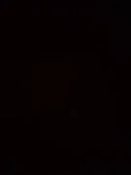 SienaWild online show from January 9, 8:35 pm