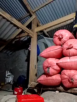 Snapshot of donna-bae chatting on October 21, 11:47 am donna-bae online show from October 21, 11:47 am