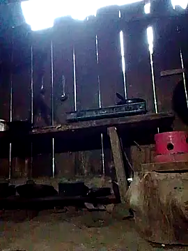 Snapshot of donna-bae chatting on October 12, 11:07 pm donna-bae online show from October 12, 11:07 pm