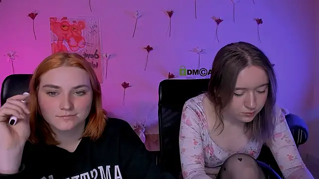 casey meow  online show from February 12, 11:45 am