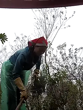 clara-cute online show from November 1, 5:55 am