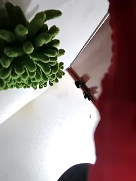 Cloe 27 online show from October 24, 8:27 pm