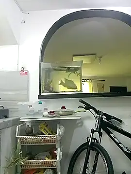 abysaenz online show from October 3, 7:30 pm