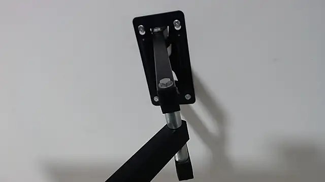 antonellaa morgan online show from October 4, 11:49 am