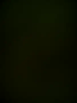 Snapshot of Arisbet333 chatting on October 1, 11:42 pm Arisbet333 online show from October 1, 11:42 pm