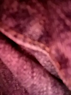 kemmut-sex online show from October 19, 3:47 pm