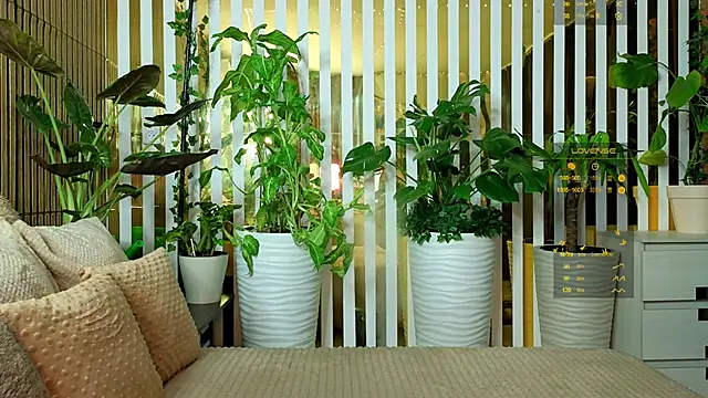 Violetttttta online show from November 16, 12:45 am