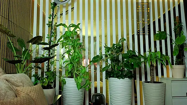 Violetttttta online show from November 18, 2:56 am