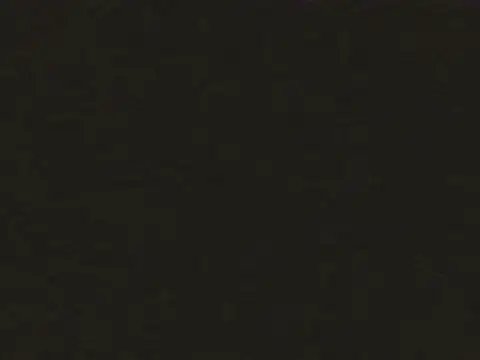 snow tsx99 online show from October 22, 2:00 pm