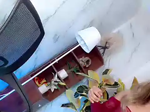 sweet rose69 online show from November 9, 6:48 pm