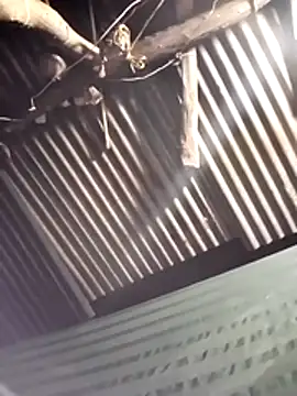 yanuw online show from November 28, 4:54 pm