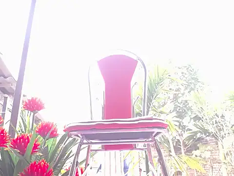 Amos Eva online show from February 12, 7:43 am