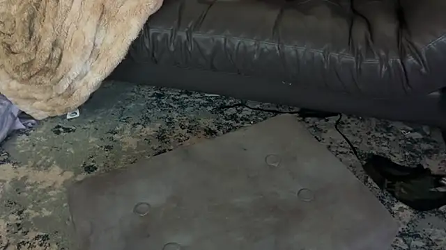 DTX Kban online show from March 14, 10:05 am