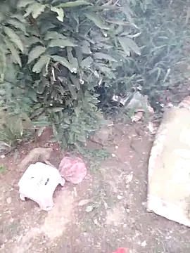 mumu661 online show from January 9, 8:52 am