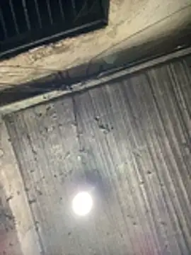 Lilik2 online show from March 5, 10:49 pm