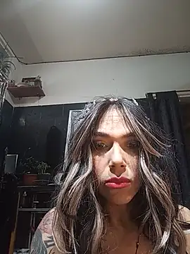 TransVenezuela1 online show from June 4, 4:11 pm