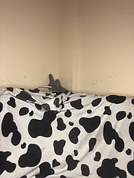 FOXXX BABY online show from February 19, 6:24 am