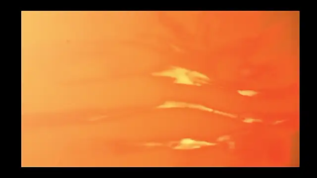 vickvalencia2 online show from February 13, 2:08 pm