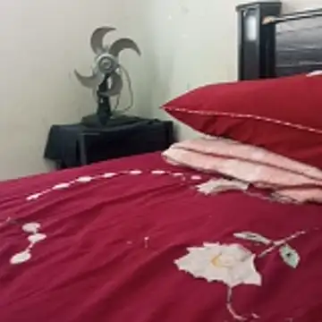    - - bucetuda  2026 online show from January 6, 2:43 pm