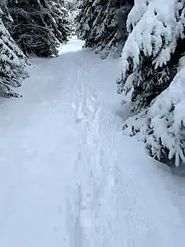 Marina und Jayden online show from February 18, 2:27 pm