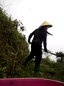 cdyyds-69 online show from March 24, 1:22 am