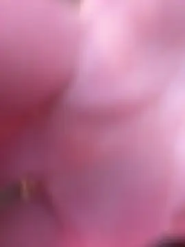 blondebunny999 999 online show from March 27, 8:16 am