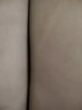 Bunny 2k online show from January 17, 3:30 pm