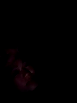 quynhbupbe11 online show from February 9, 6:32 pm